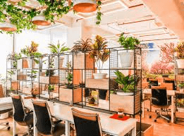 Office plants